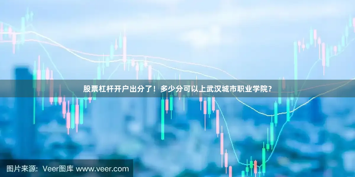 股票杠杆开户出分了！多少分可以上武汉城市职业学院？