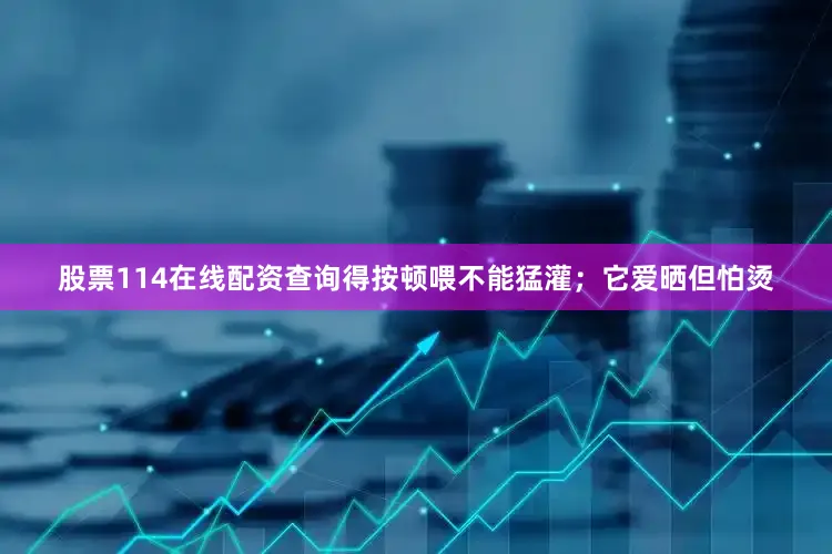 股票114在线配资查询得按顿喂不能猛灌；它爱晒但怕烫