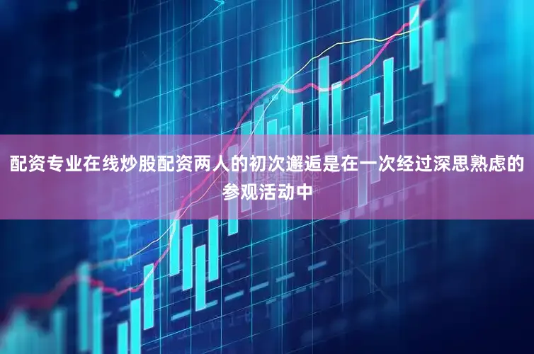 配资专业在线炒股配资两人的初次邂逅是在一次经过深思熟虑的参观活动中